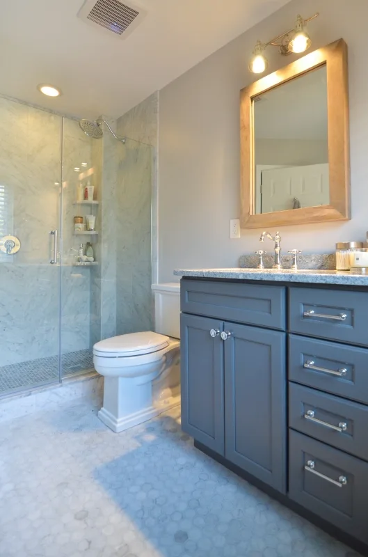Transitional/Classic Center-City Bathroom